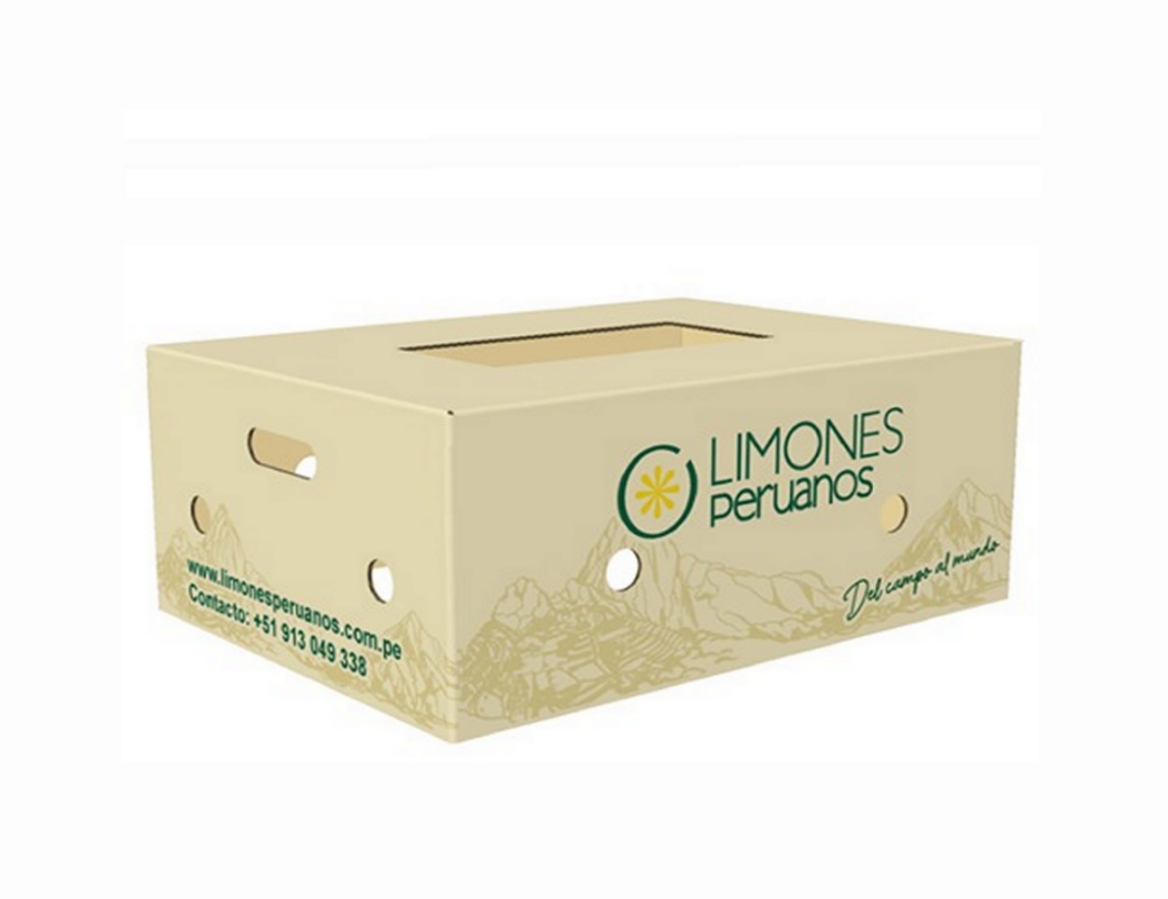 10 kg Box