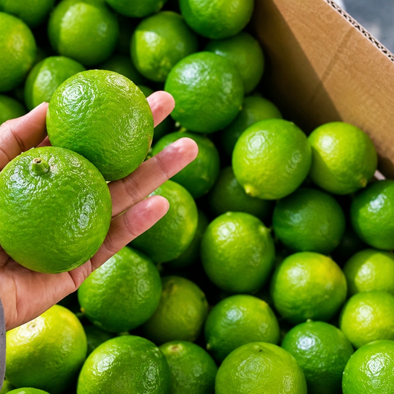 Sutil Lime
