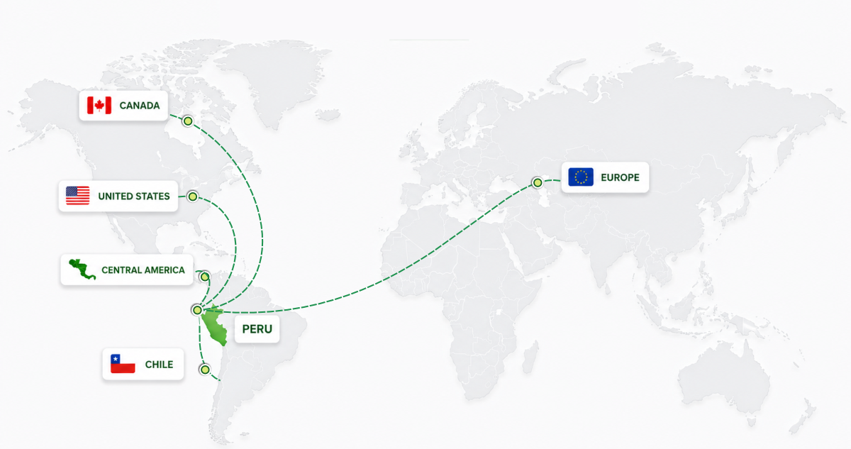 Export Markets
