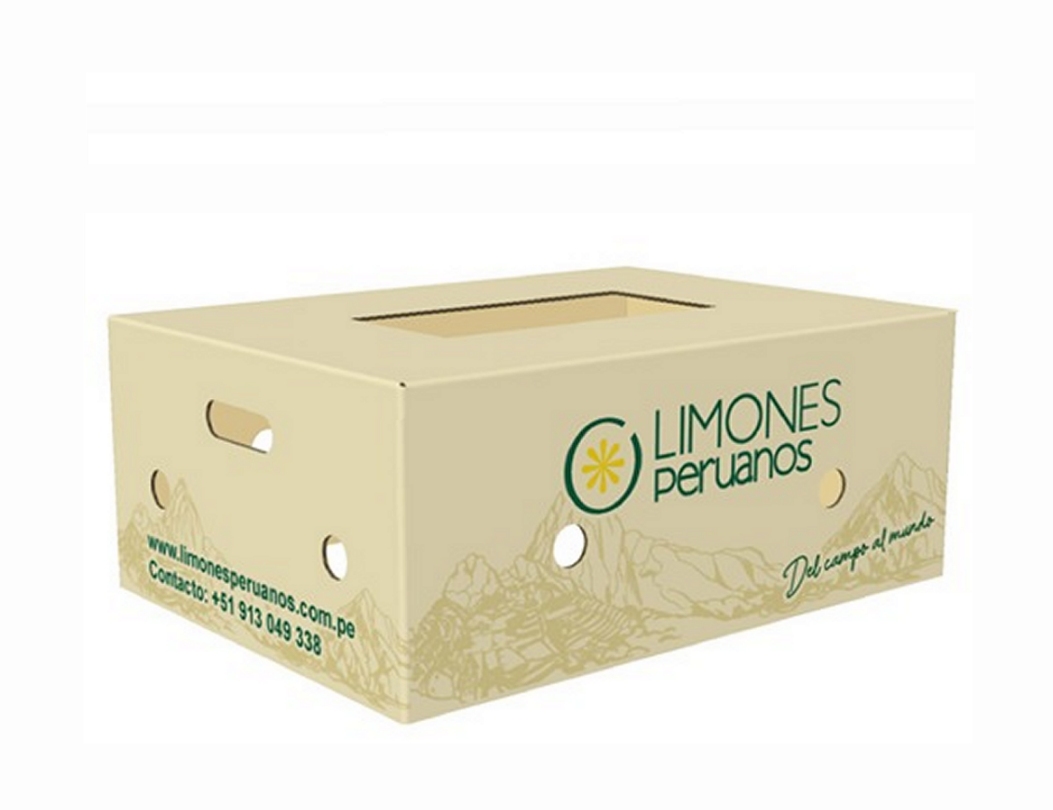 24 kg Box
