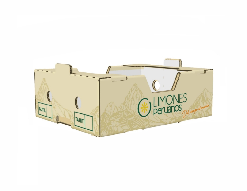4.5 kg Box